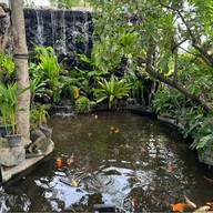 ครัวกางนา