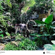 The Treehouse Nongchok