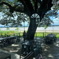 The TREE CAFE