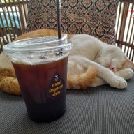 Nomoretears coffee โนมอร์เทีย