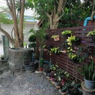 หน้าร้าน ขนมจีนเส้นสดสวนลุงลี