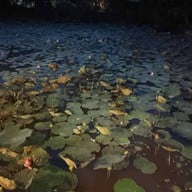 ระเบียงสวน อ่าวนาง อ่าวนาง