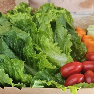 ผักล้น คนกับข้าว