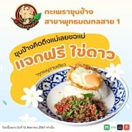 กะเพราขุนช้าง พุทธมณฑลสาย 1 พุทธมณฑลสาย1