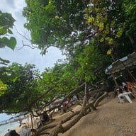 ซาชิมิ หาดลับ