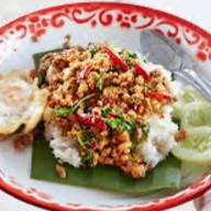 The tree อยุธยา