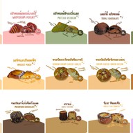 TheblackcatPizzeria (พิซซ่านาโปลีแป้งสด) สามแยกทานตะวัน