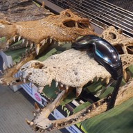 Chalawan Grill สาขาพัทยา