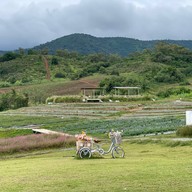Floryday Khaoyai : Cafe & Flower