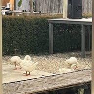 ธรรมชาติ อิสาน บีช คาเฟ่ ธรรมชาติ อิสาน บีช คาเฟ่