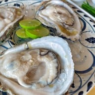 ต้นกินปู อ่างศิลา