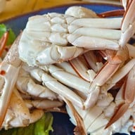 ต้นกินปู อ่างศิลา