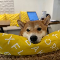 BAKER X FLORIST พระราม 9