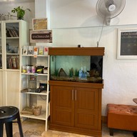 Roller Roaster Specialty Coffee Roller Roaster ยะลา