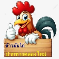 ร้านข้าวมันไก่ ข้าวหน้าเป็ด ปากทางคลองใหม่