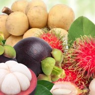 ผึ้งหวานผลไม้ (เจ๊ดา48)