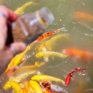 ขนุน คาเฟ่ -