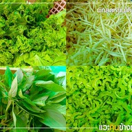 บรรยากาศ ก๋วยเตี๋ยวไก่มะระ อ่อนนุช 44