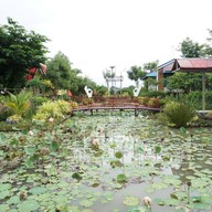 ทุ่งเกาะเทโพโอเค