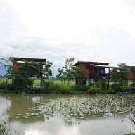 ทุ่งเกาะเทโพโอเค