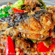 ตี๋โตกะเพราถาด โพธิ์แก้ว