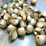 เมนูของร้าน เรื่องหอยไว้ใจเรา สาขาFoodVilla food villa