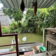 ก๋วยเตี๋ยวเรือเปิ้ลป๊อก