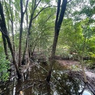 บรรยากาศ ศูนย์ศึกษาการพัฒนาอ่าวคุ้งกระเบน (ป่าชายเลน)