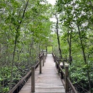 บรรยากาศ ศูนย์ศึกษาการพัฒนาอ่าวคุ้งกระเบน (ป่าชายเลน)