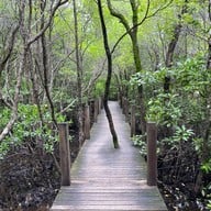 บรรยากาศ ศูนย์ศึกษาการพัฒนาอ่าวคุ้งกระเบน (ป่าชายเลน)