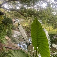 ระรินธาร