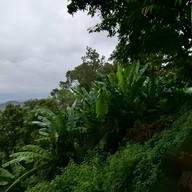 จุดชมวิว กม.12 ทองผาภูมิ กาญจนบุรี