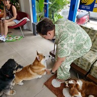 บรรยากาศ Neighbordog cafe