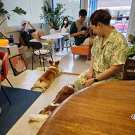 บรรยากาศ Neighbordog cafe