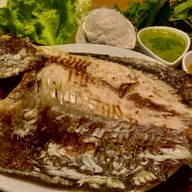 พร ปลาเผาเรซซิ่ง สาขา สะพานใหม่