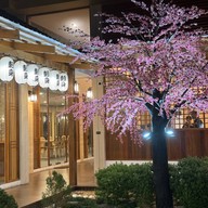 Nigiwai Japanese Cuisine Suratthani 魚の賑わい มะขามเตี้ย