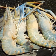 เมนูของร้าน Kingkong Buffet Ease Park