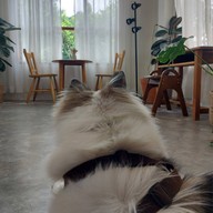 Vini cafe & garden ไวน์นิ คาเฟ่ & การ์เด้น