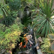 บ้านจิบ ที่บ้านกรูด บ้านกรูด