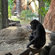 Ueno Zoo