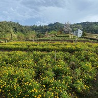 สวนดอกไม้ป้างฮวา