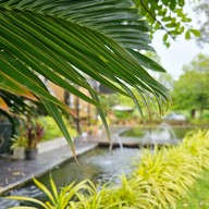 Roikhan | ร้อยก้าน