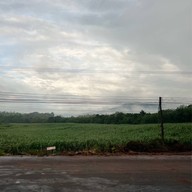 วัดศรีพรหมมาพัฒนา