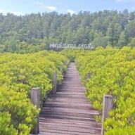 ทุ่งโปรงทอง