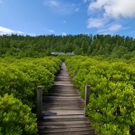 ทุ่งโปรงทอง