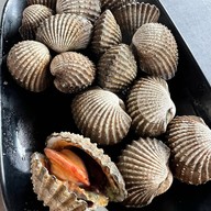 เมนูของร้าน ป้ายาหอยสด