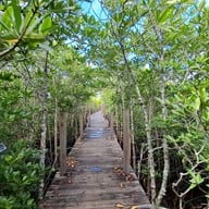 ทุ่งโปรงทอง