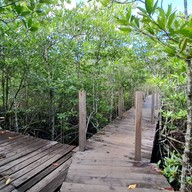 ทุ่งโปรงทอง