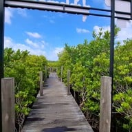 ทุ่งโปรงทอง