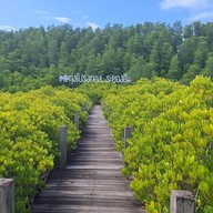 ทุ่งโปรงทอง